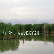 ½