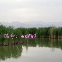 Ŀ