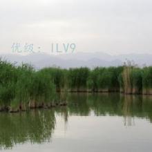 ½