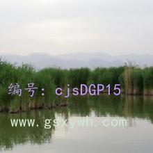 ½