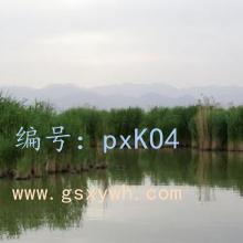 ½