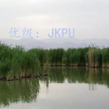 ҵ
