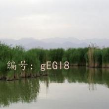 ½