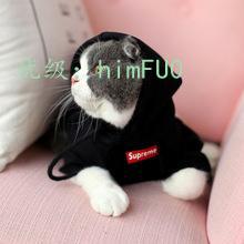 Ҫ