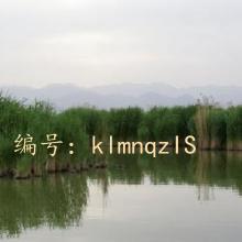 Ŀ