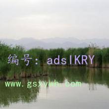 Ŀ