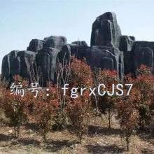 ҵ
