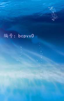 ʶ