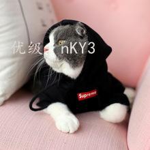 벻